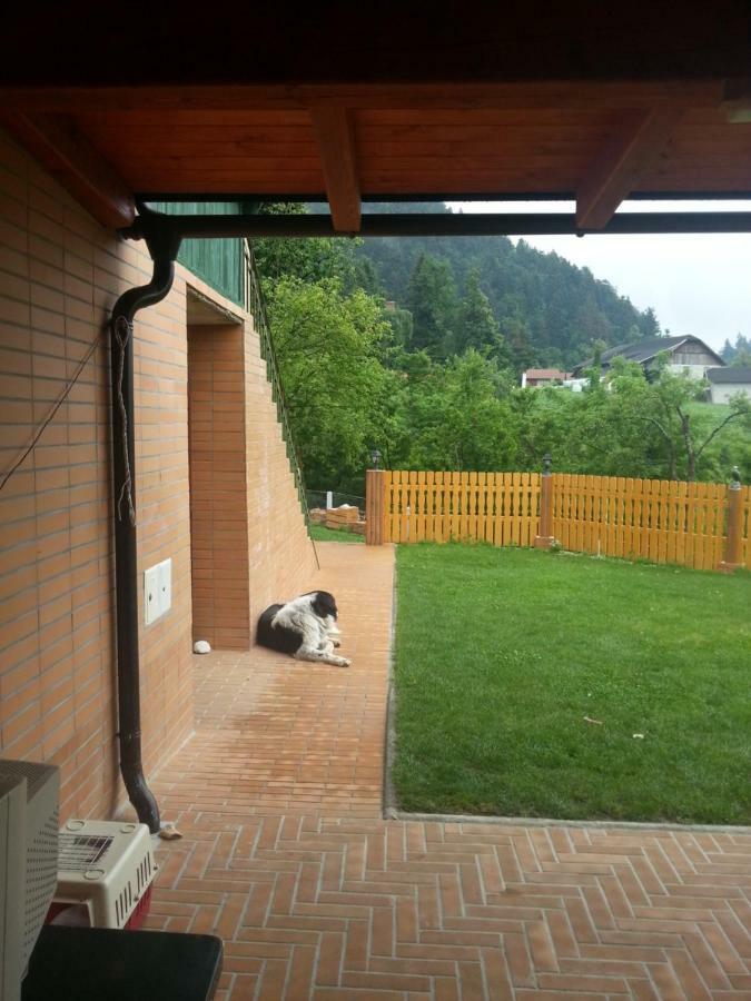 Sostanj Velenje Ravne Sobe Rooms Vrtacnik D O O ภายนอก รูปภาพ